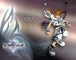 wallpapers Kingdom Hearts Destiny